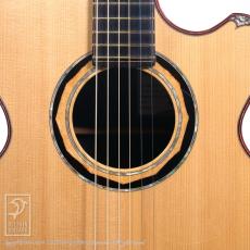 WATER ROAD GUITARS Deep Arte Custom (African Blackwood)_14