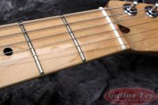 Fender USA American Professional Telecaster Ash BTB/MN '19_5