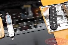 Fender USA American Professional Telecaster Ash BTB/MN '19_7