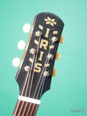 IRIS GUITAR COMPANY The DF Model_3