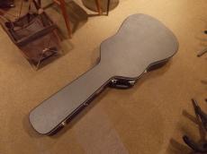 IRIS GUITAR COMPANY The DF Model_5