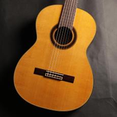 Takamine No.310
