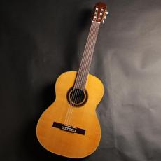 Takamine No.310_2
