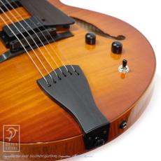 Sadowsky LS-15 (VLB)_14