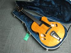 Jazz Guitar Designs Modern master 16
