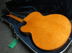 Jazz Guitar Designs Modern master 16_3