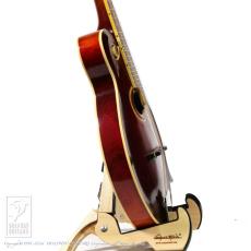 Gibson F-4_3
