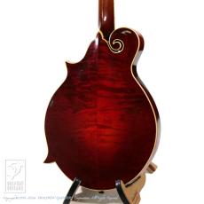 Gibson F-4_4