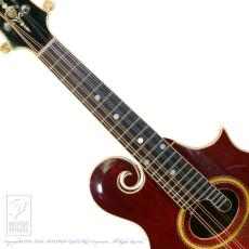 Gibson F-4_5