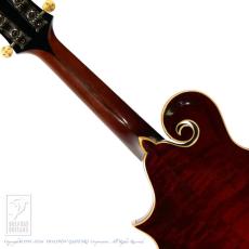 Gibson F-4_6