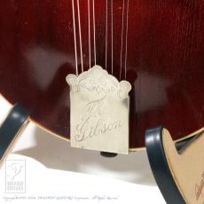 Gibson F-4_10