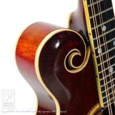 Gibson F-4_11