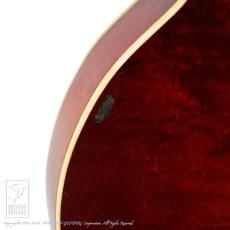 Gibson F-4_14