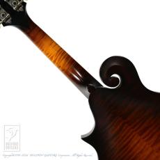 Collings MF-O _6
