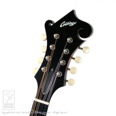 Collings MF-O _7