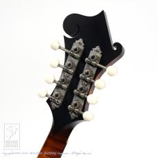 Collings MF-O _8