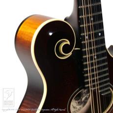Collings MF-O _12
