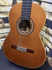 Guo Yulong グオ・ユーロン 2017年製 Model:A.Echoes 杉・ジリコテ ダブルトップ 630スケール 【日本総本店2F 在庫品】_2