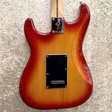 Fender Player Stratocaster Plus Top_2