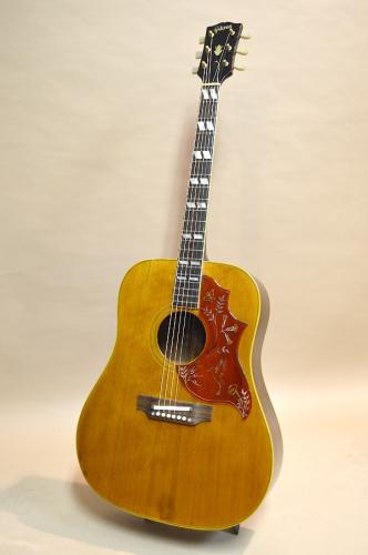 Gibson Hummingbird　1968年製