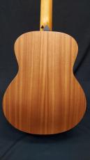Taylor Taylor GS Mini-e SE Blue Paisley_2
