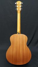 Taylor Taylor GS Mini-e SE Blue Paisley_7