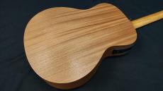Taylor Taylor GS Mini-e SE Blue Paisley_8