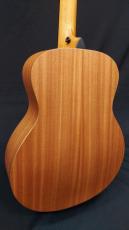 Taylor Taylor GS Mini-e SE Blue Paisley_11