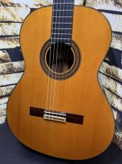 Antonio Lopez [アントニオ・ロペス] 2001年製 Professional プロフェッショナル 松・ローズ【日本総本店2F 在庫品】