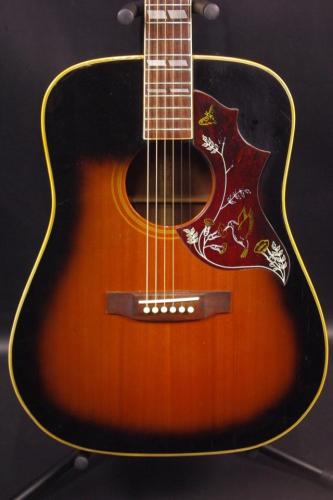 Pearl HummingBird Type