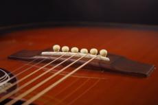 Pearl HummingBird Type_5