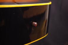 Pearl HummingBird Type_6