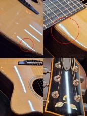 James Goodall RGCC "Englemann Spruce / Indian Rosewood" -2006USED!!-【48回迄金利0%対象】_10