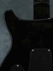 Paul Reed Smith [PRS] 2005 Standard 22 Trem Bird Inlay Black_11