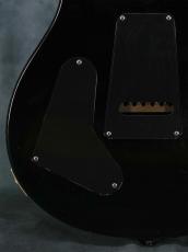 Paul Reed Smith [PRS] 2005 Standard 22 Trem Bird Inlay Black_13