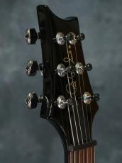 Paul Reed Smith [PRS] 2005 Standard 22 Trem Bird Inlay Black_15