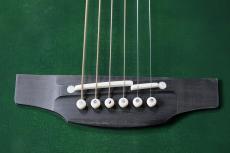 Takamine 【美しいグリーンカラー】LTD2025 Antique Evergreen #62120722【送料当社負担・最大48回分割無金利】_4