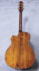 Takamine 【美しいグリーンカラー】LTD2025 Antique Evergreen #62120722【送料当社負担・最大48回分割無金利】_9