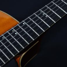 Jazz Guitar Designs MODERN MASTER 16"_3