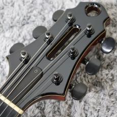 Jazz Guitar Designs MODERN MASTER 16"_9