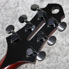 Jazz Guitar Designs MODERN MASTER 16"_10