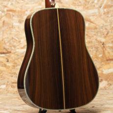 Martin D-45 w/Anthem 2003_2