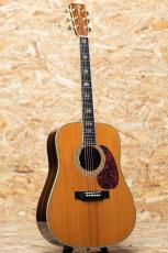 Martin D-45 w/Anthem 2003_3