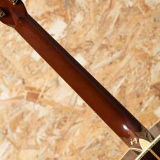 Martin D-45 w/Anthem 2003_7