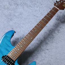 Ibanez MM1【Martin Miller Signature Model】「3.66Kg」【現物写真】おすすめ良杢個体_6