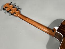 Taylor 214ce RW SP Eidition_5