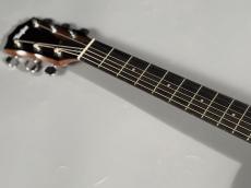 Taylor 214ce RW SP Eidition_6