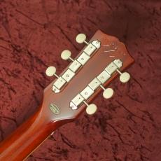 Epiphone Inspired by Gibson Custom 1960 Les Paul Special Double Cut Reissue Cherry Red_8