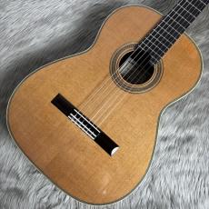 西野 春平 NR8 杉/ハカランダ【650mm】【期間限定展示ギター】