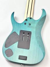 Ibanez 【Spalted Maple Top】【葉月(HAZUKI)Model】HZK1  #F2616503【3.82KG】_4